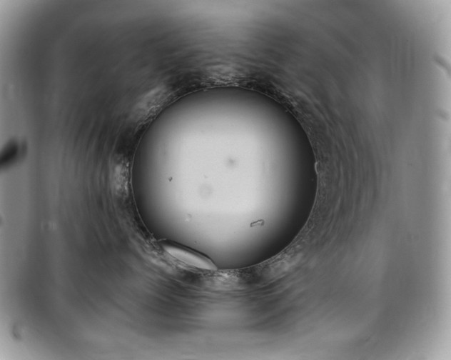 X0000097290768200802151415