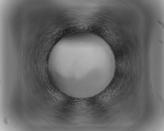 X0000097290769200802151414