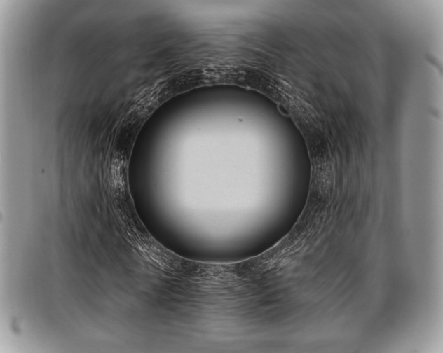 X0000097290770200802151414