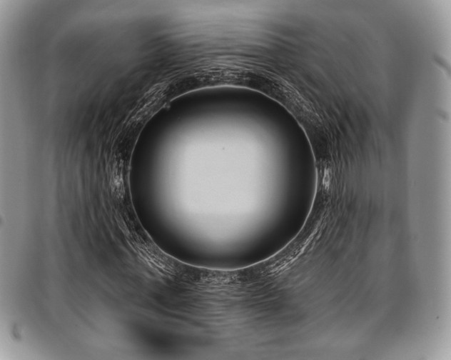 X0000097290771200802151414