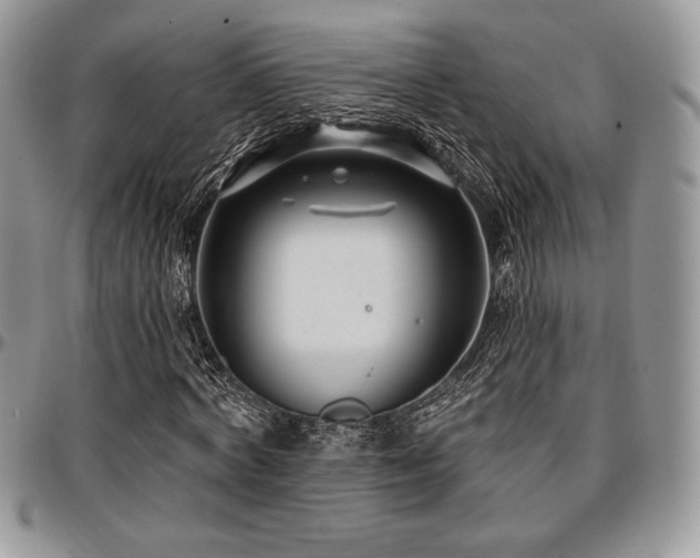 X0000097290772200802151414