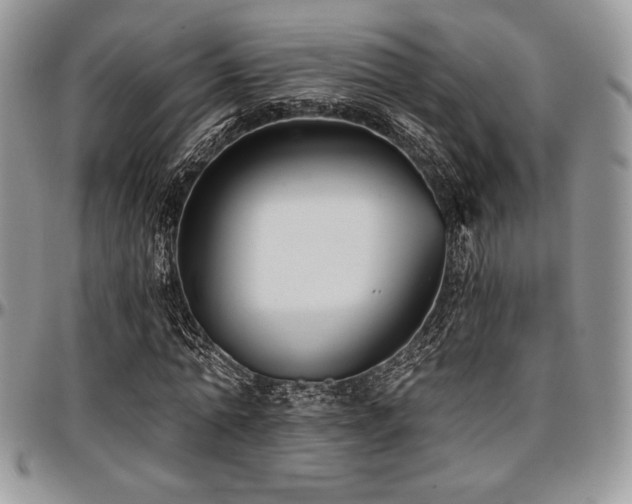X0000097290774200802151414
