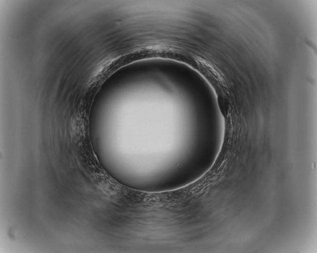 X0000097290776200802151414