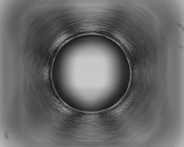 X0000097290778200802151414