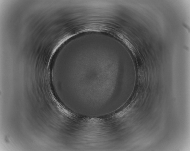 X0000097290779200802151414