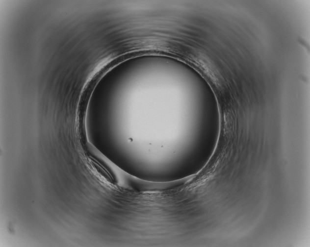 X0000097290780200802151414