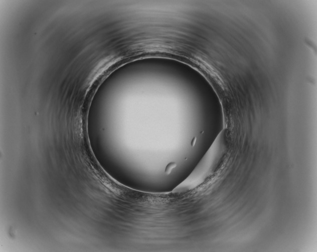 X0000097290782200802151414