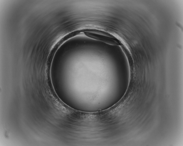X0000097290783200802151414