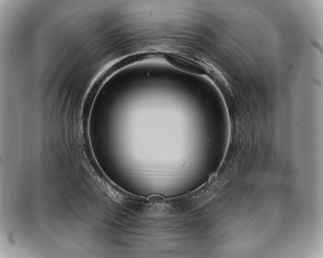 X0000097290784200802151414