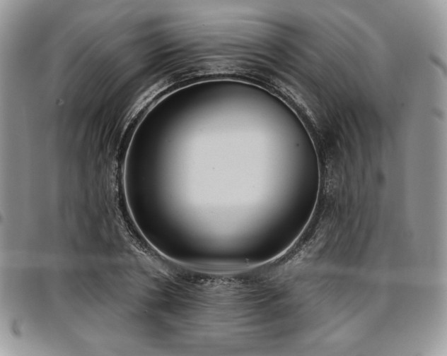 X0000097290786200802151414