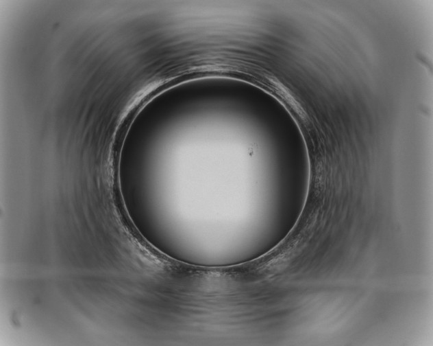 X0000097290787200802151414