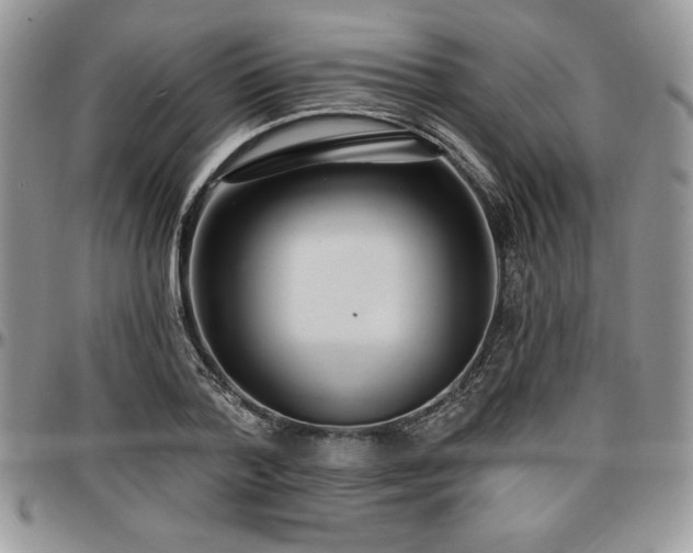 X0000097290788200802151414