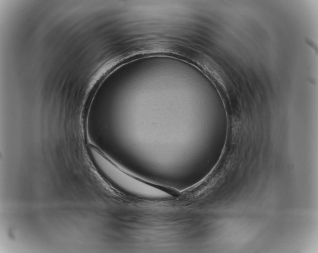 X0000097290789200802151414