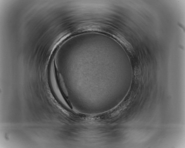 X0000097290790200802151414