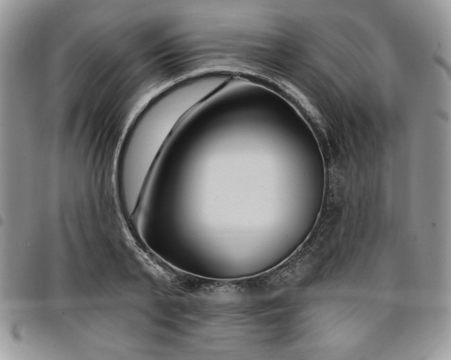 X0000097290791200802151414