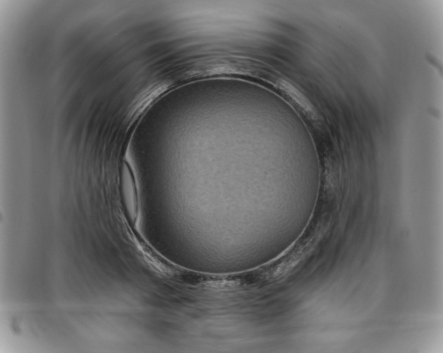 X0000097290793200802151414