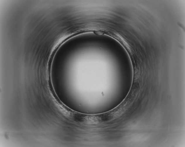 X0000097290795200802151414