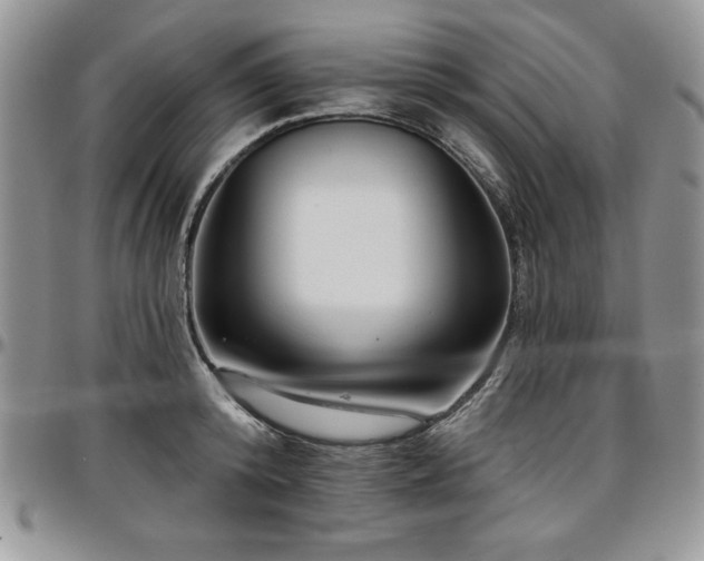 X0000097290800200802151414