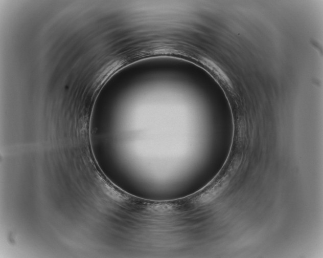 X0000097290801200802151414