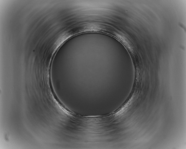 X0000097290802200802151414