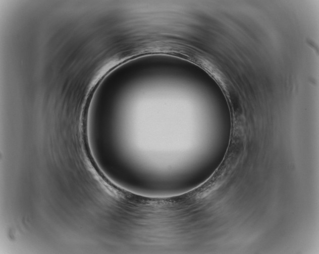 X0000097290803200802151414