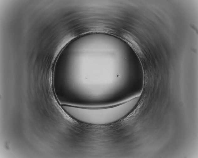 X0000097290804200802151413