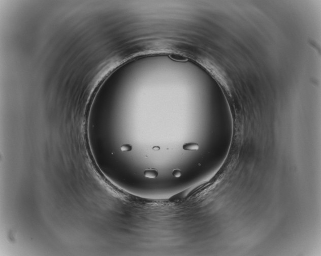 X0000097290805200802151413