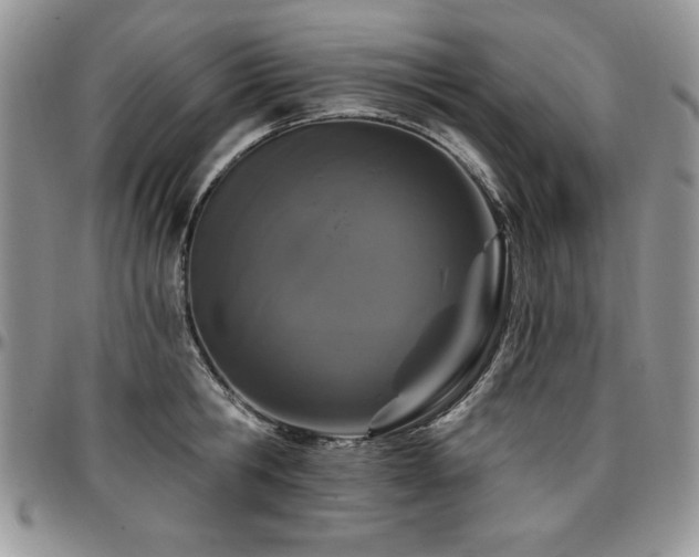 X0000097290806200802151413