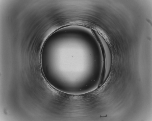 X0000097290808200802151413