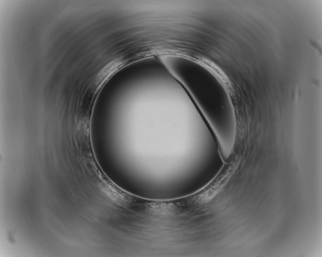 X0000097290809200802151413