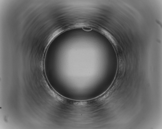 X0000097290810200802151413