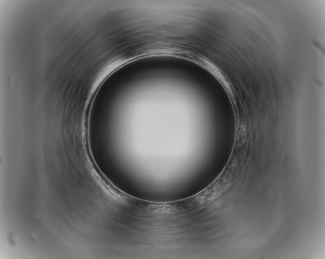 X0000097290811200802151413