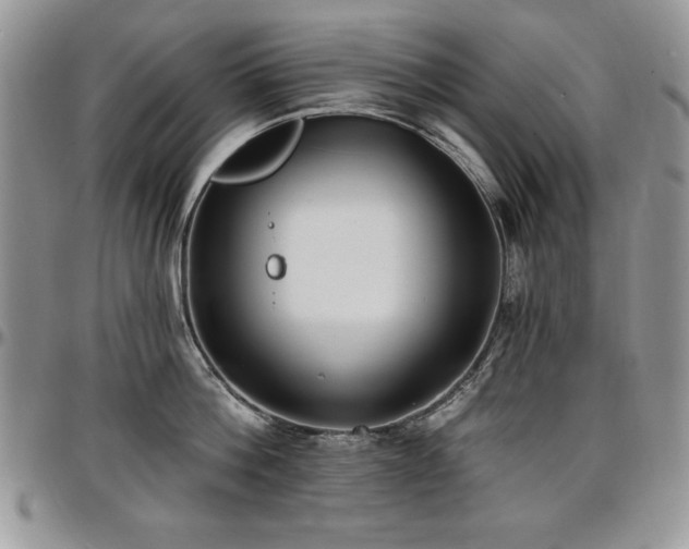 X0000097290812200802151413