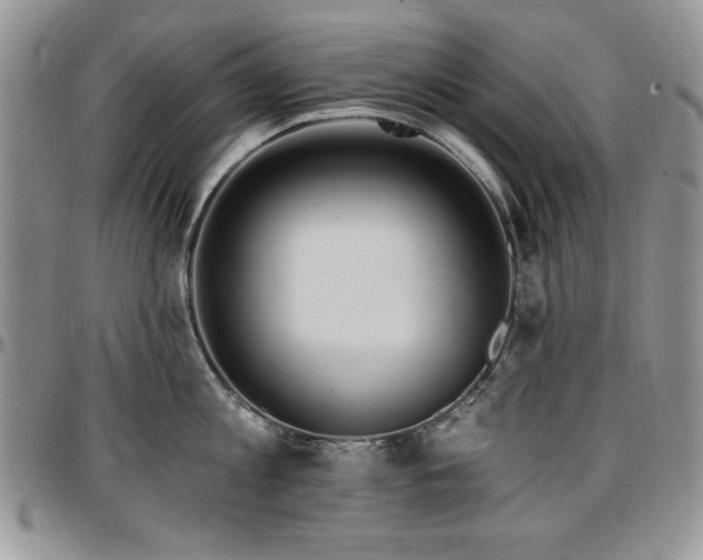 X0000097290813200802151413