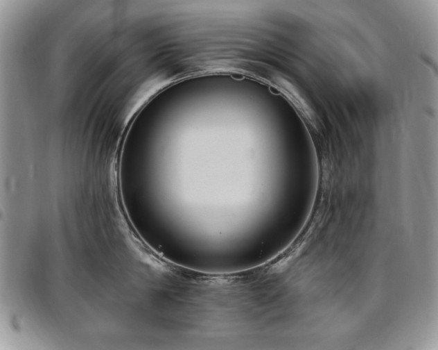 X0000097290814200802151413