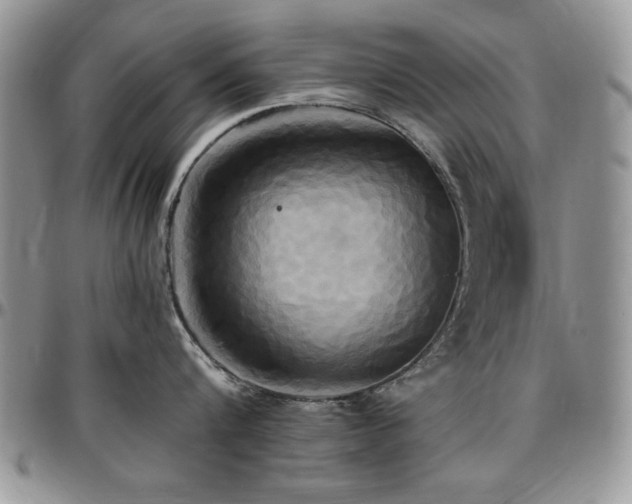 X0000097290816200802151413