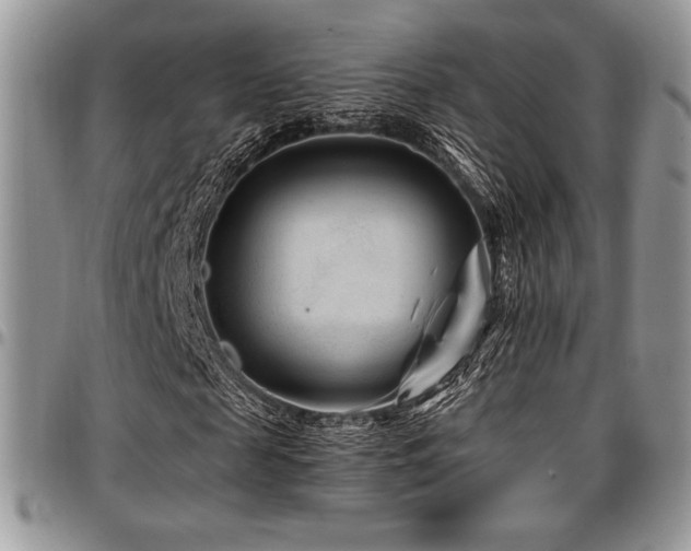X0000097290817200802151413