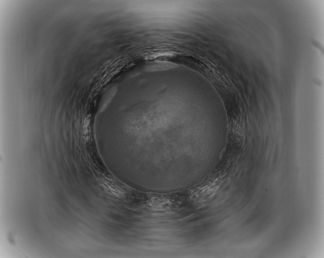 X0000097290818200802151413