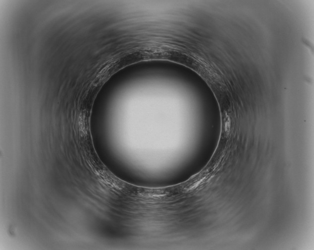 X0000097290819200802151413