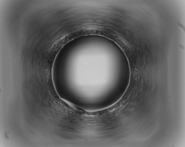 X0000097290821200802151413