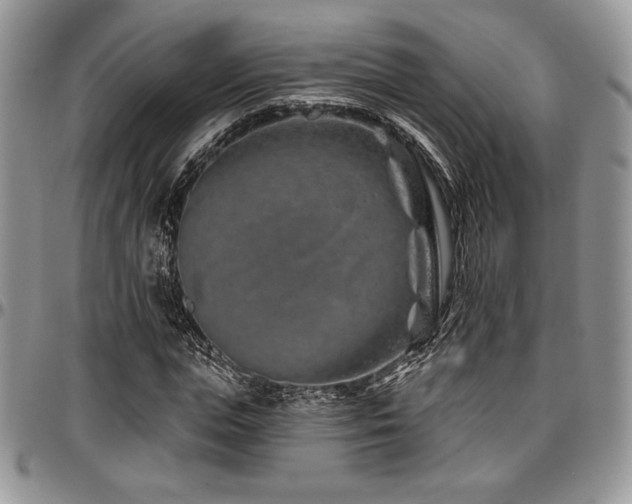 X0000097290823200802151413