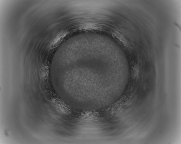 X0000097290824200802151413