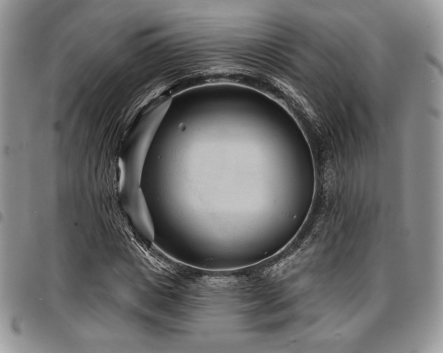 X0000097290825200802151413
