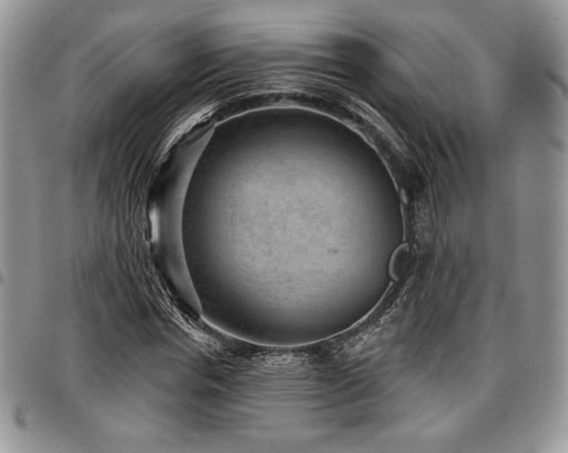 X0000097290826200802151413