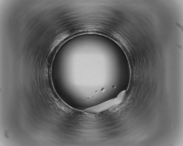 X0000097290827200802151413