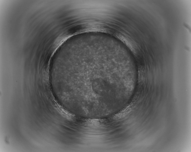 X0000097290828200802151413