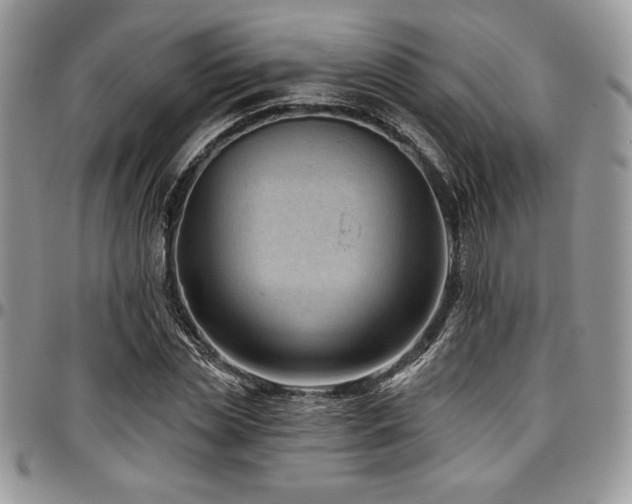 X0000097290829200802151413