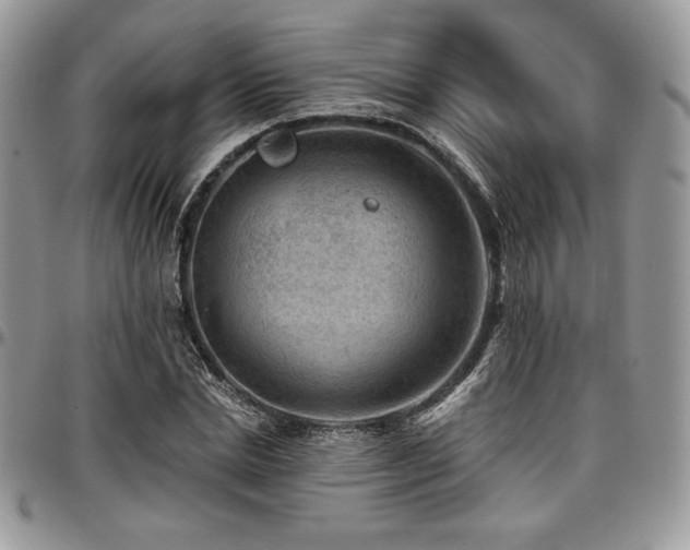 X0000097290830200802151413