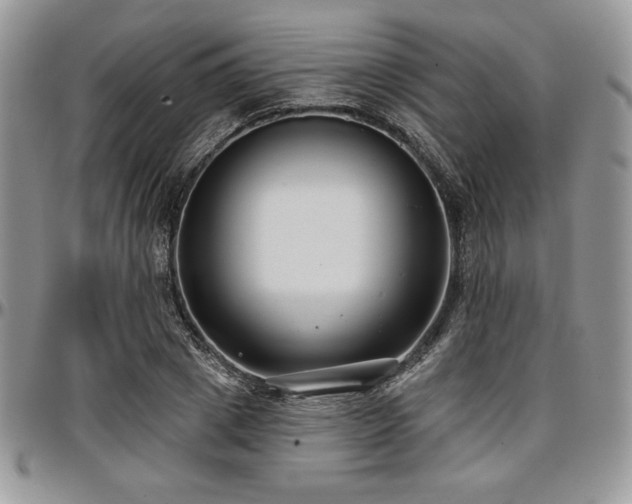 X0000097290833200802151413
