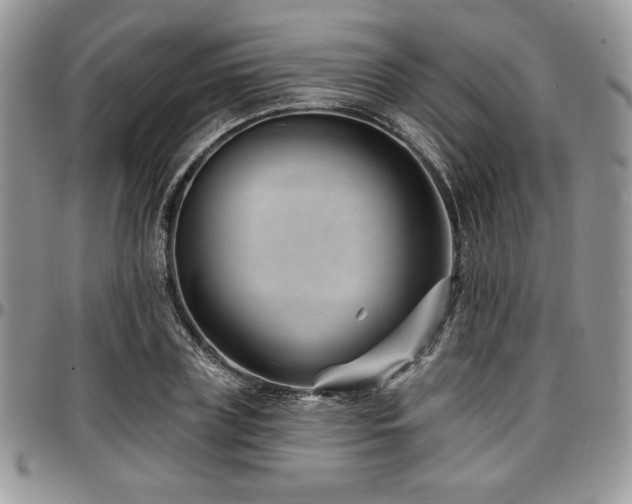 X0000097290835200802151413